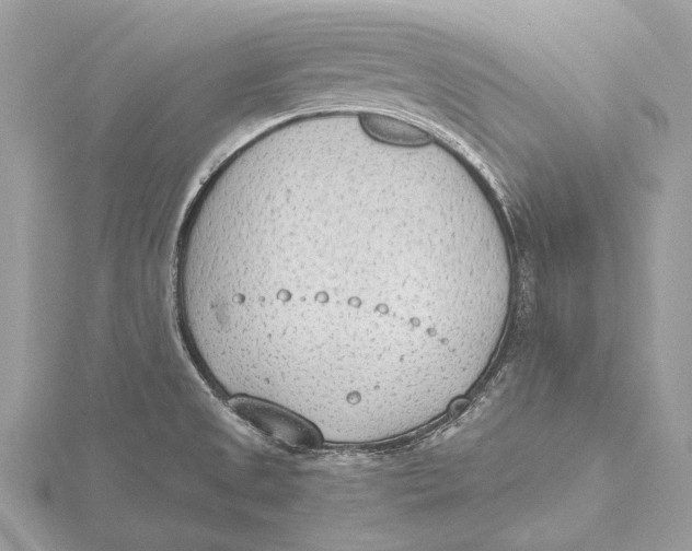 X0000115781525200912041441