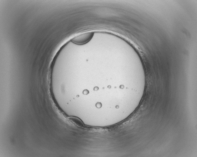 X0000115781526200912041441