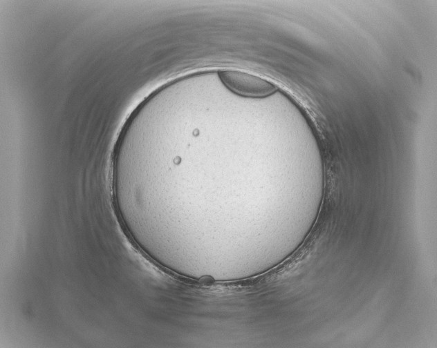 X0000115781527200912041441