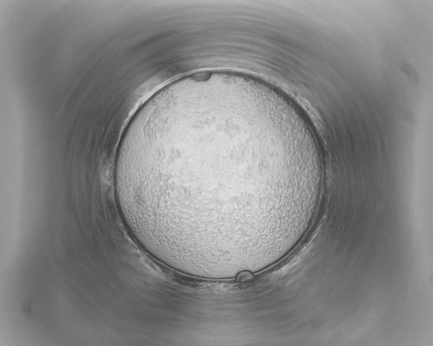 X0000115781529200912041441