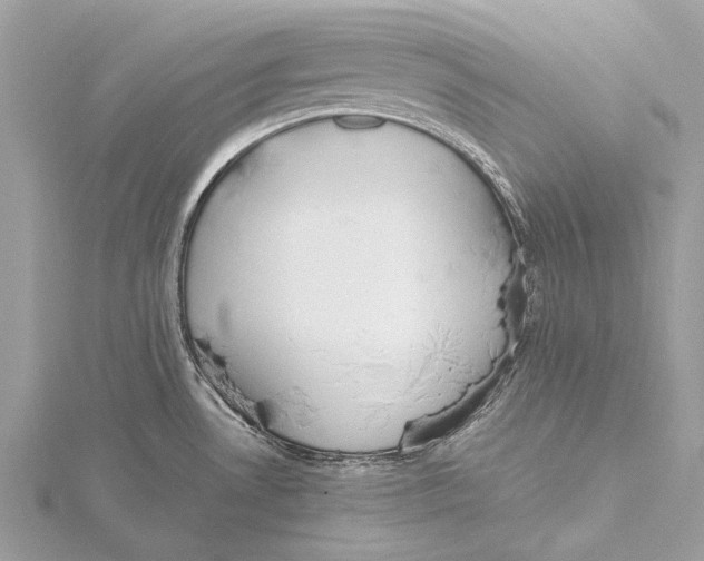 X0000115781530200912041441