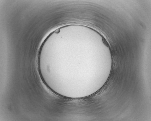 X0000115781531200912041441