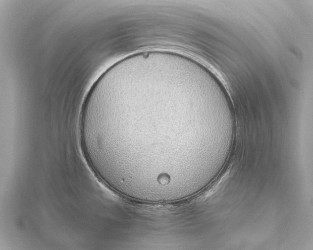 X0000115781533200912041441