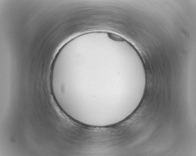 X0000115781534200912041441