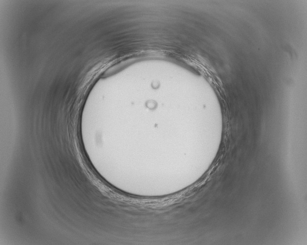 X0000115780001200912111137