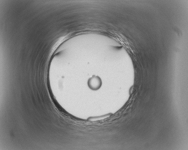 X0000115780003200912111137