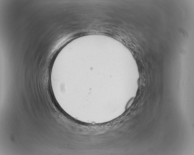 X0000115780005200912111137