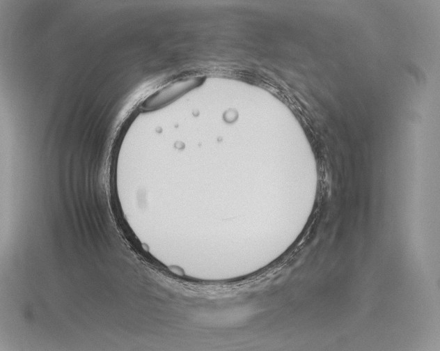 X0000115780006200912111137