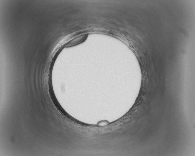 X0000115780007200912111137