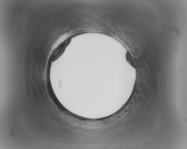 X0000115780008200912111137