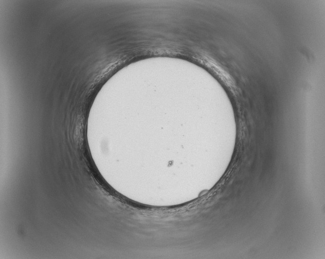 X0000115780009200912111137