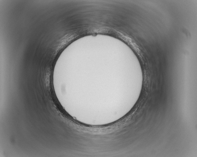 X0000115780010200912111137