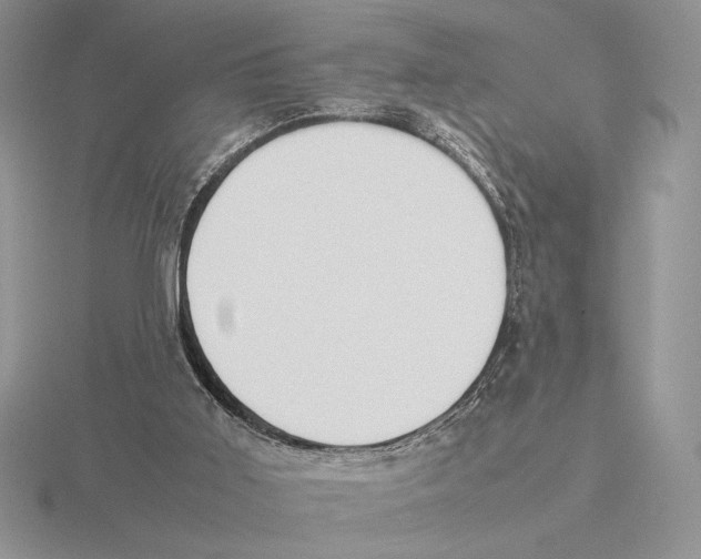 X0000115780011200912111137