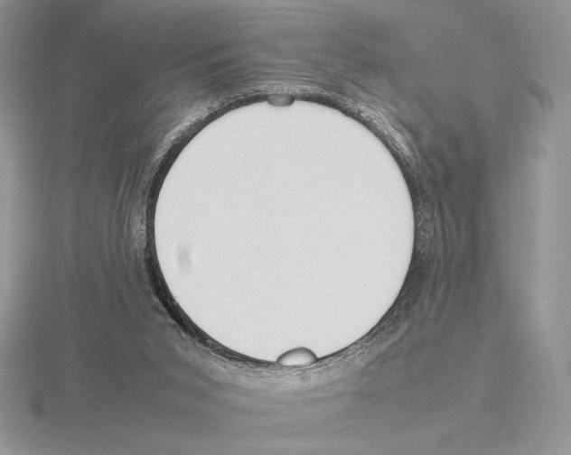 X0000115780015200912111137