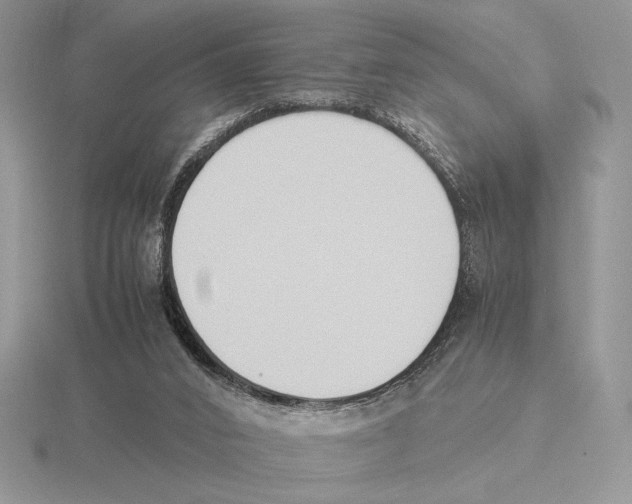 X0000115780016200912111137