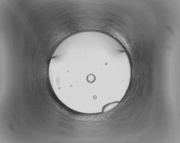 X0000115780017200912111137