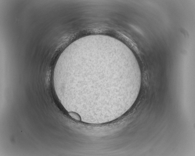 X0000115780018200912111137