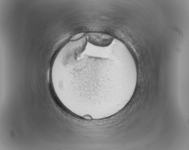 X0000115780019200912111137