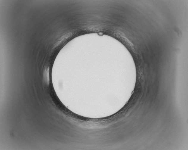 X0000115780020200912111137