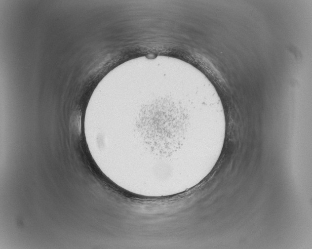 X0000115780021200912111137