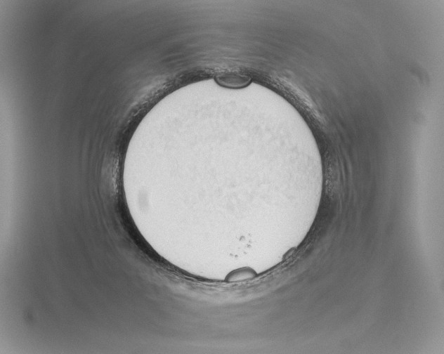 X0000115780023200912111137