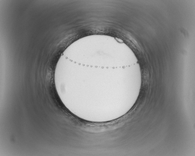 X0000115780029200912111137