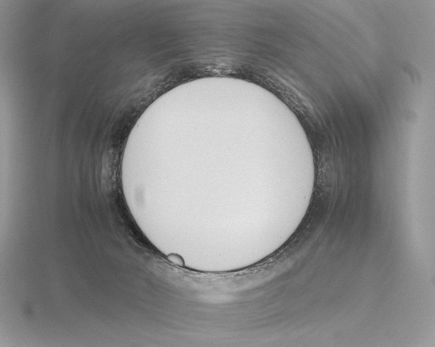 X0000115780030200912111137