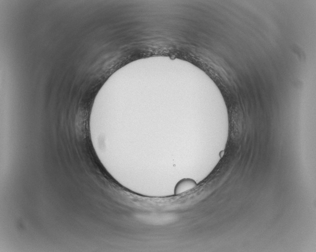 X0000115780034200912111137