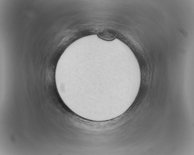 X0000115780035200912111137