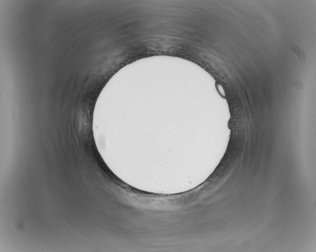 X0000115780040200912111137