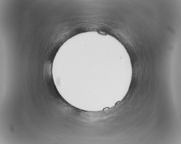 X0000115780041200912111137