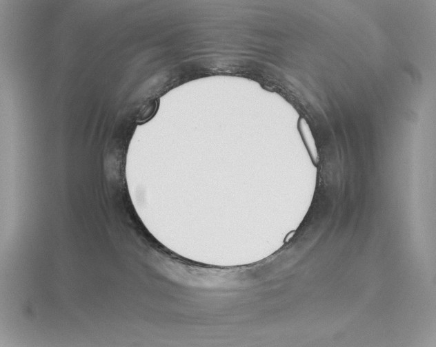 X0000115780044200912111136