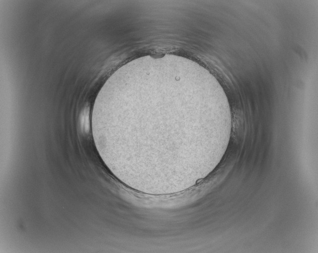 X0000115780046200912111136