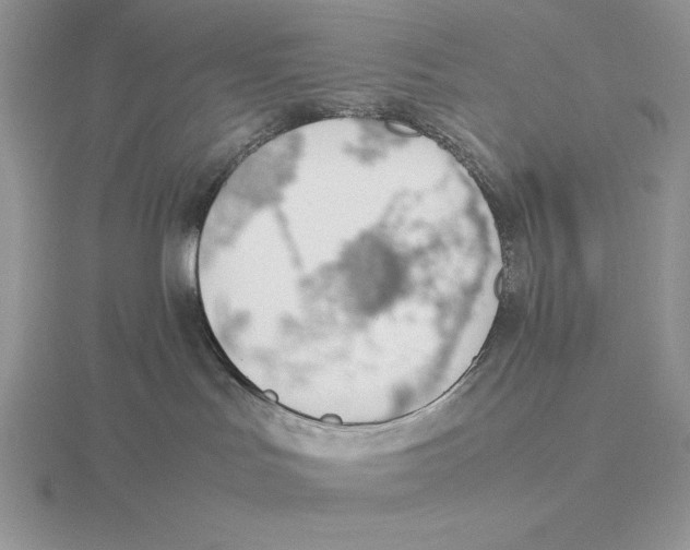 X0000115780047200912111136