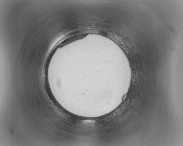 X0000115780053200912111136