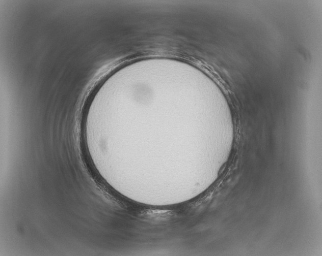 X0000115780055200912111136