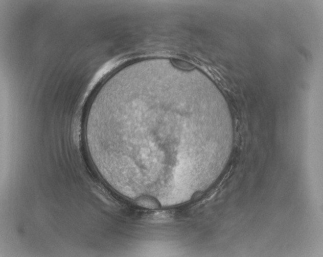 X0000115780056200912111136