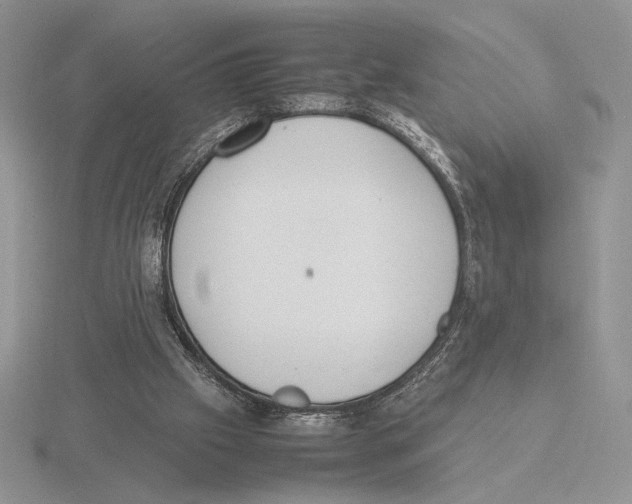 X0000115780057200912111136