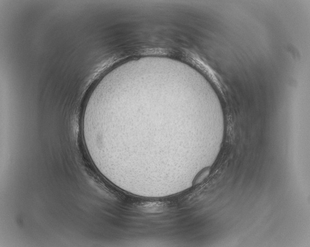 X0000115780059200912111136