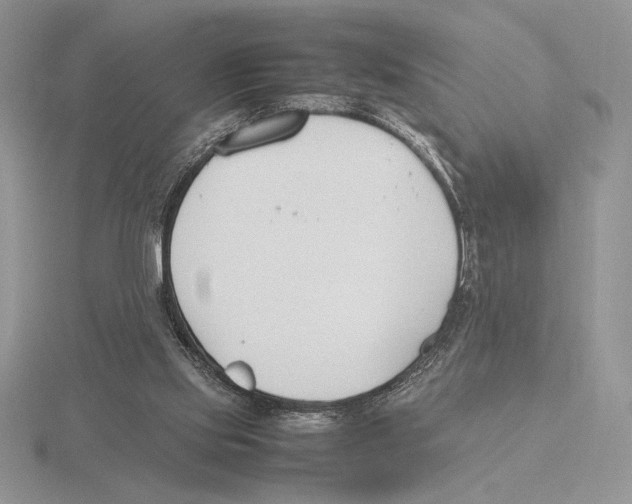 X0000115780061200912111136