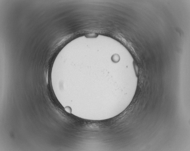 X0000115780062200912111136