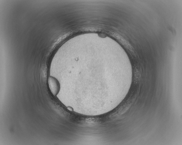 X0000115780064200912111136