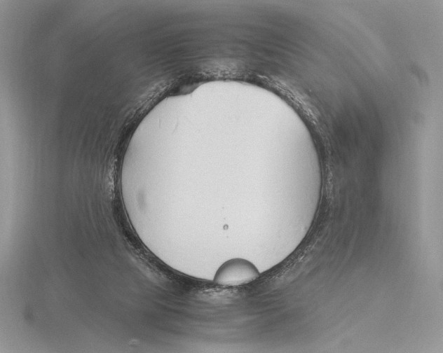 X0000115780065200912111136