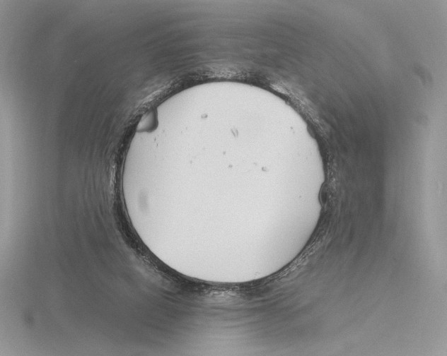 X0000115780066200912111136