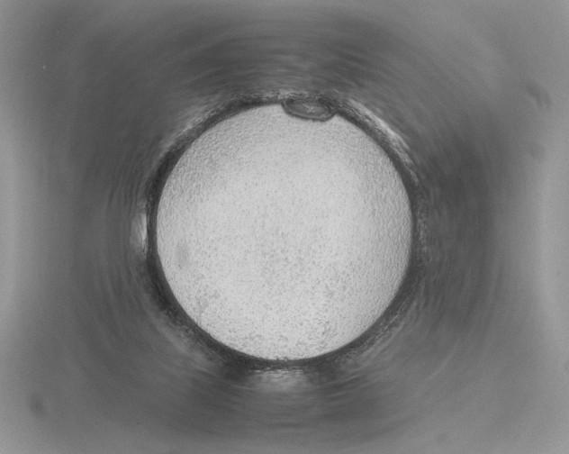 X0000115780067200912111136