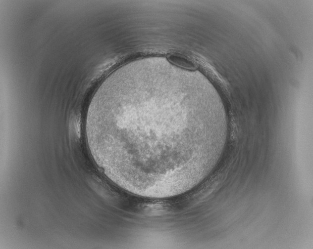 X0000115780068200912111136