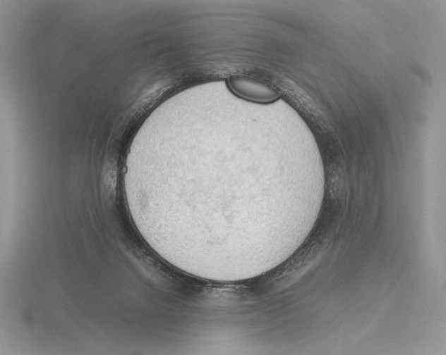 X0000115780072200912111136