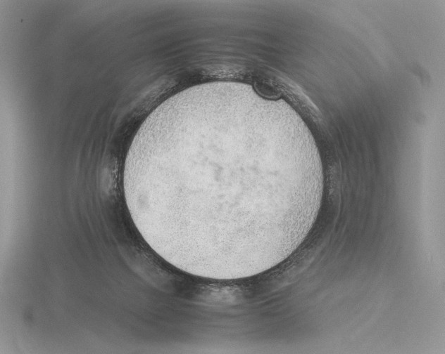 X0000115780073200912111136