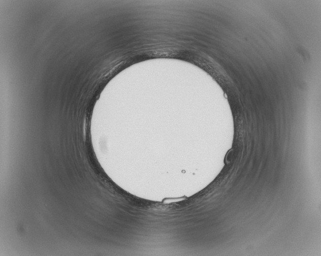 X0000115780076200912111136