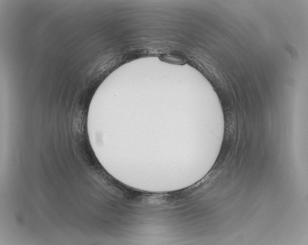 X0000115780078200912111136